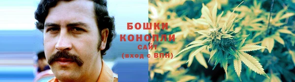 стафф Аркадак
