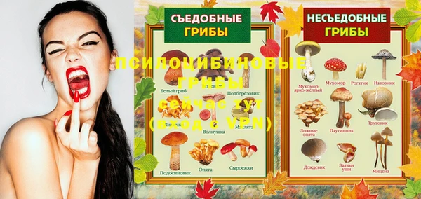 стафф Аркадак