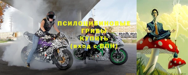 стафф Аркадак